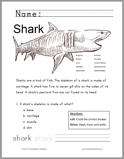 Shark Worksheet For Lower Elementary