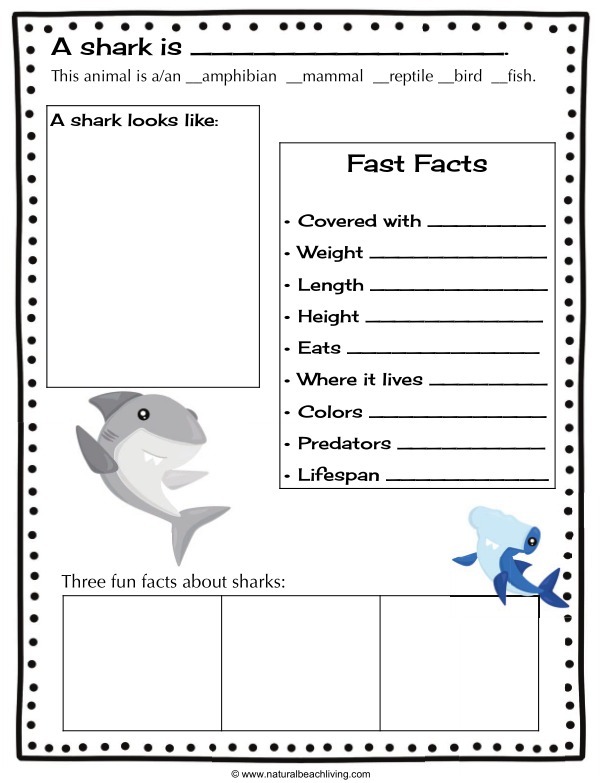 The Best Shark Printable Activities For Kids