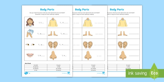 French My Body Parts Worksheet   Worksheet