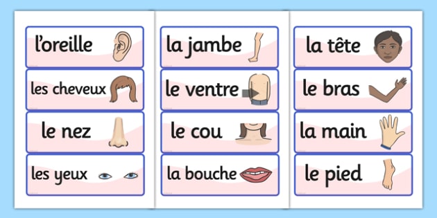 French Body Parts Vocabulary Cards