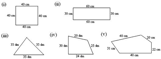 Worksheet On Perimeter Of A Figure