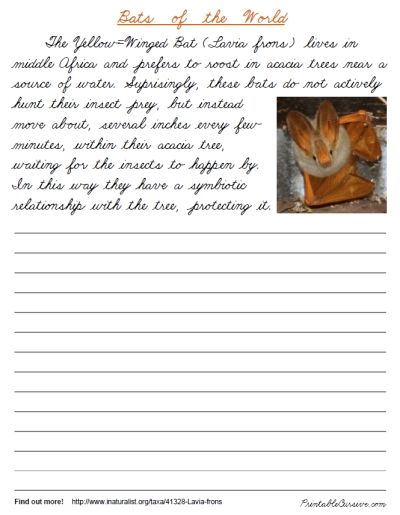 Free Printable Cursive Handwriting Worksheet Bats Of The World