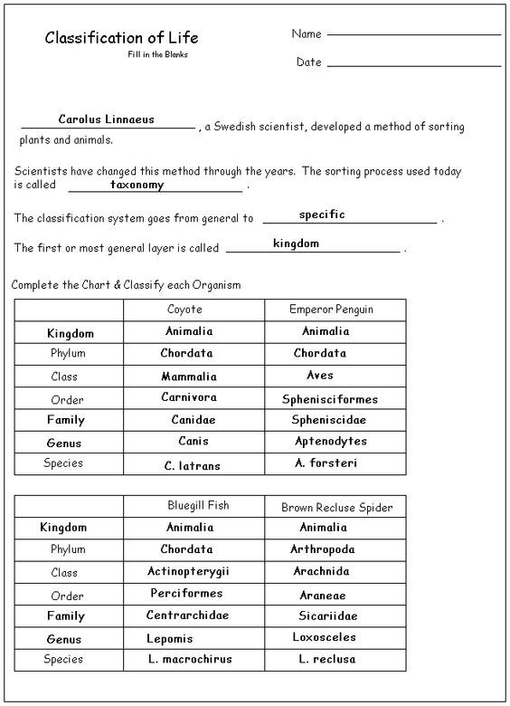 Taxonomy Worksheet 2