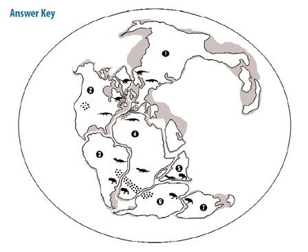 Plate Tectonics Puzzle Teaching Materials Grades 4