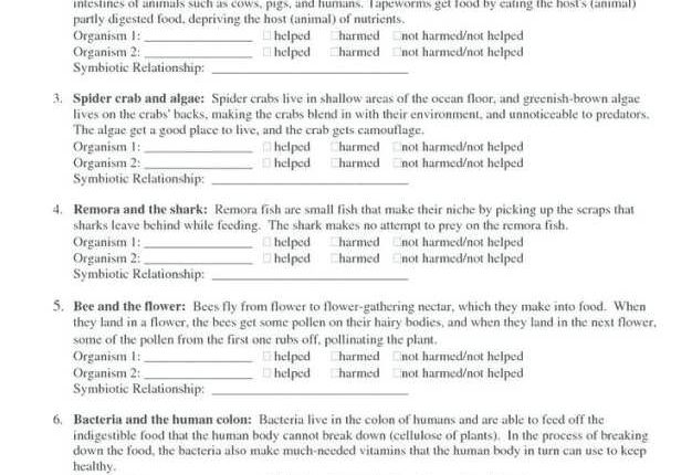 5 Awesome Symbiotic Relationships Worksheet Answers That You Will