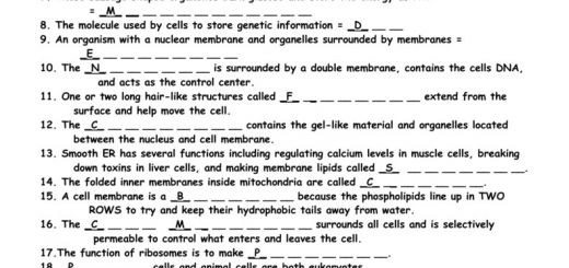 Beautiful Cell Structure And Organelles Worksheet