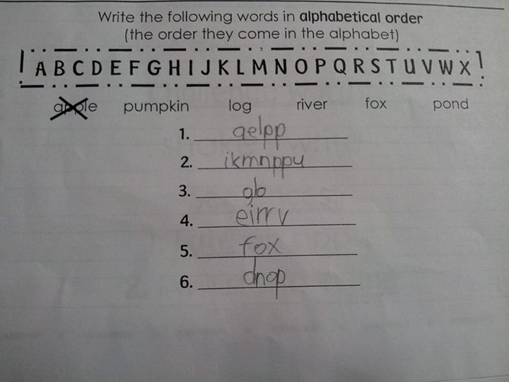 The Funniest Homework Assignment Answers