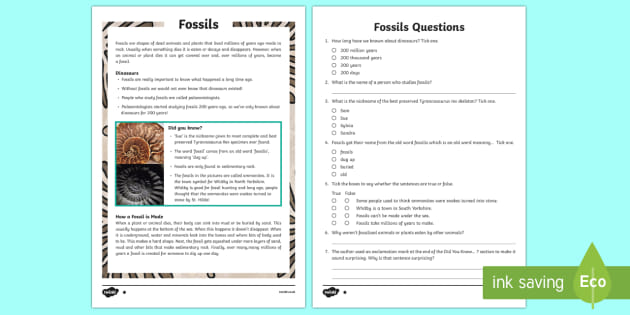 Fossils Worksheet