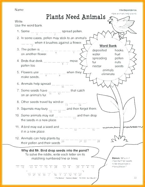 The City School Grade 4 Science Worksheets For Reinforcement